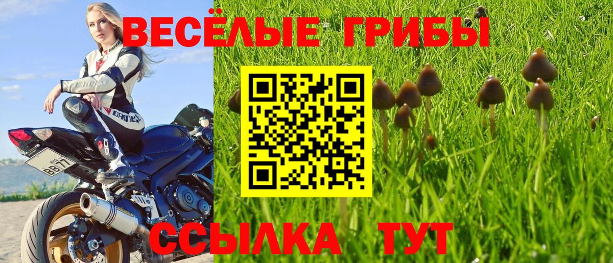 Пятигорск  Галлюциногенные грибы Psilocybine cubensis  Галлюциногенные грибы MAGIC MUSHROOMS  Вход с VPN 