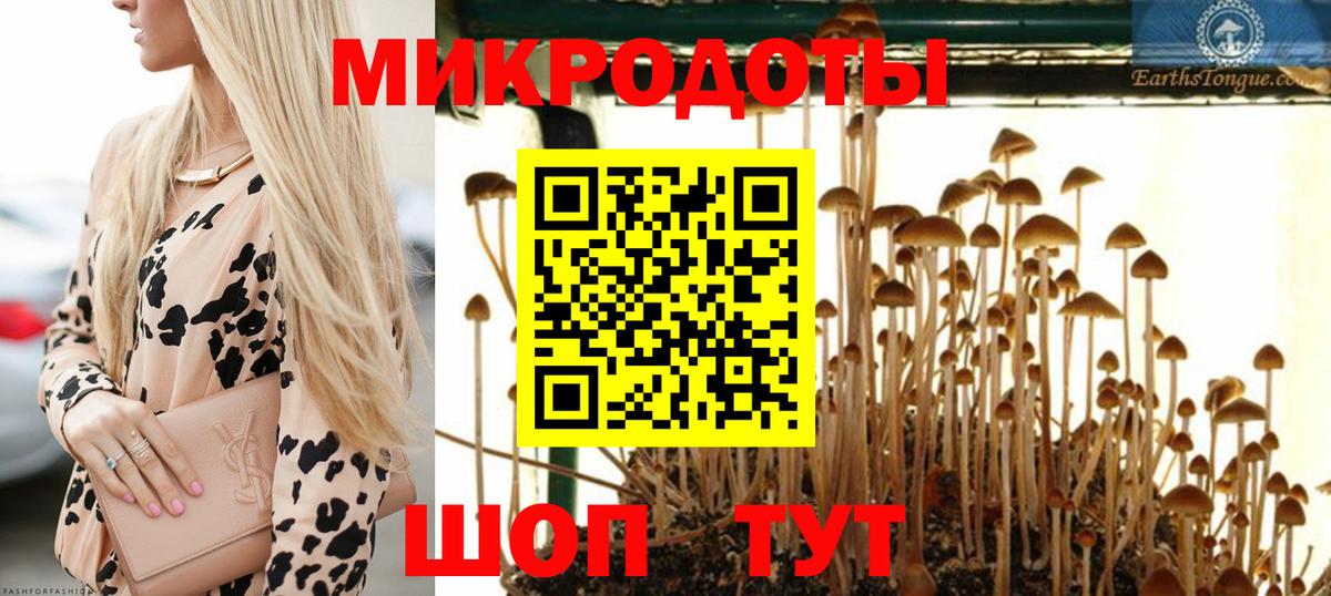 Галлюциногенные грибы MAGIC MUSHROOMS Пятигорск